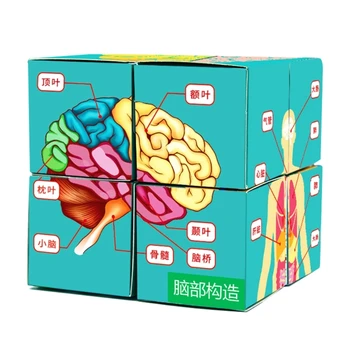 Gyermek tudományfejlesztő játék Emberi test puzzle kártya Otthoni bemutató játék